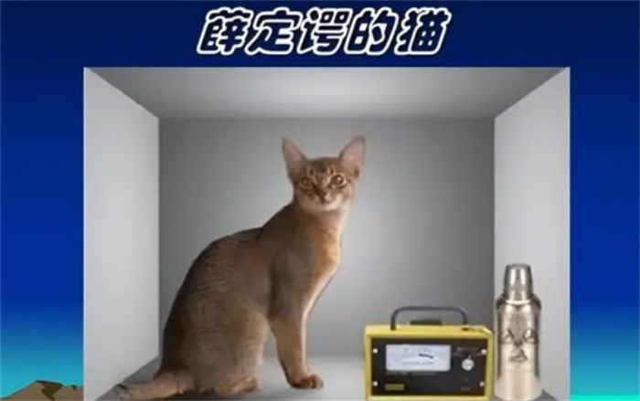 薛定谔的猫是啥意思（理想实验） 第3张